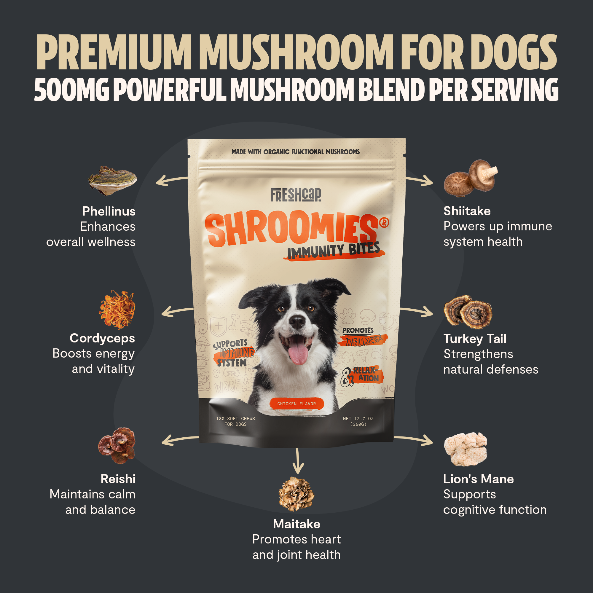 Organic Mushroom Complex for Dogs DestGlow