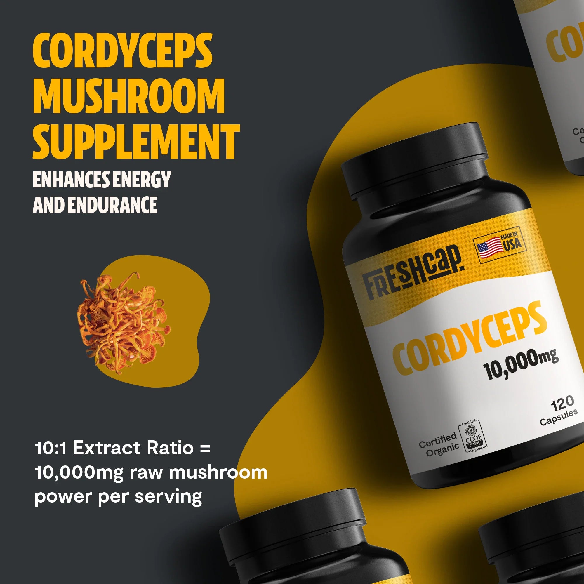 Organic Cordyceps Mushroom Supplement Capsules by FreshCap Mushrooms