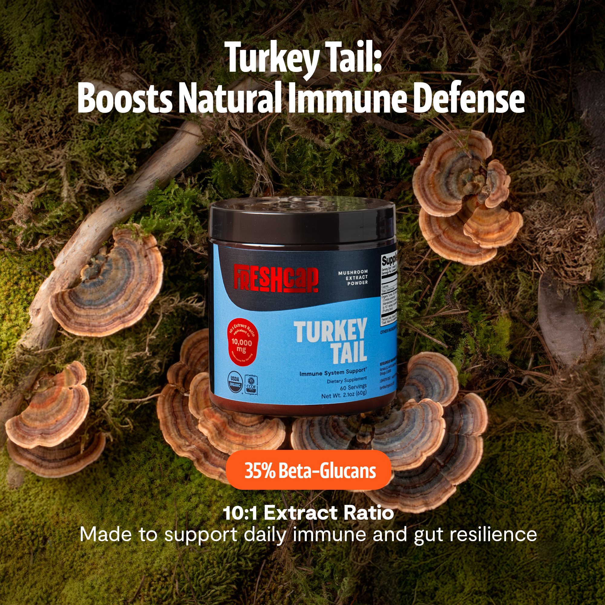 Turkey Tail Mushroom Extract Powder by FreshCap Mushrooms