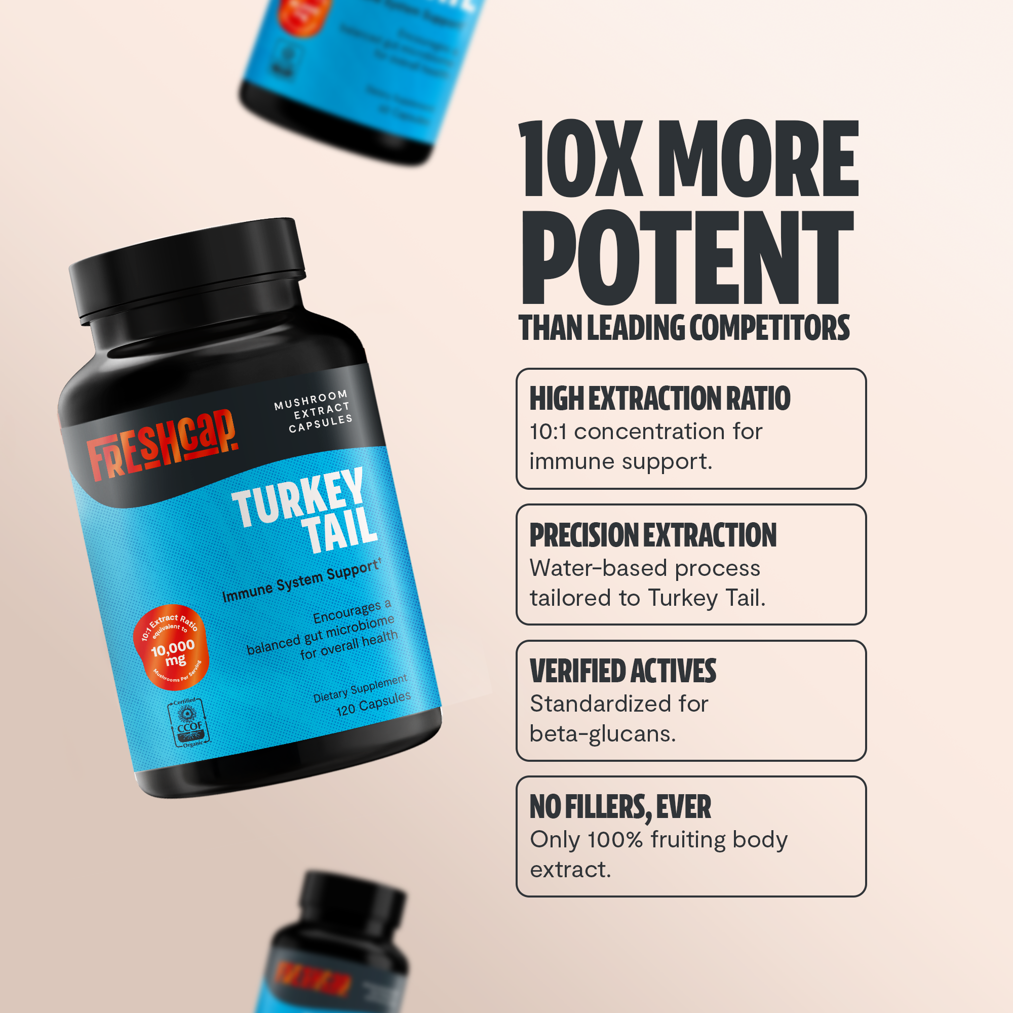 Turkey Tail Mushroom Extract Capsules
