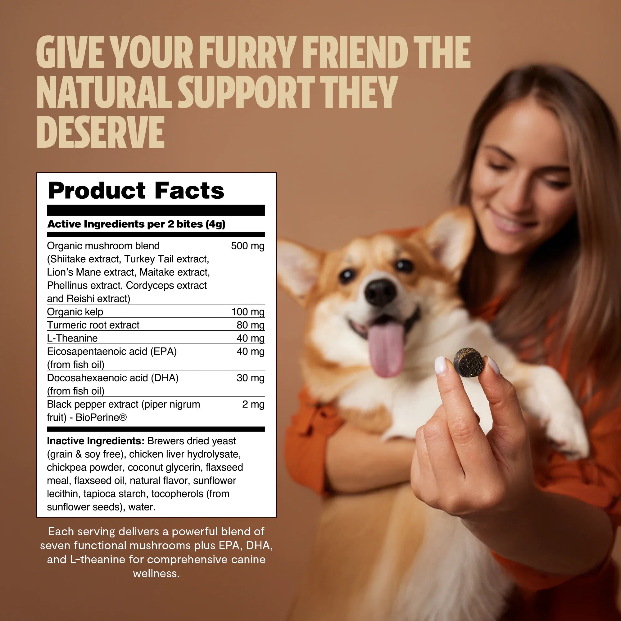 Organic Mushroom Complex for Dogs DestGlow