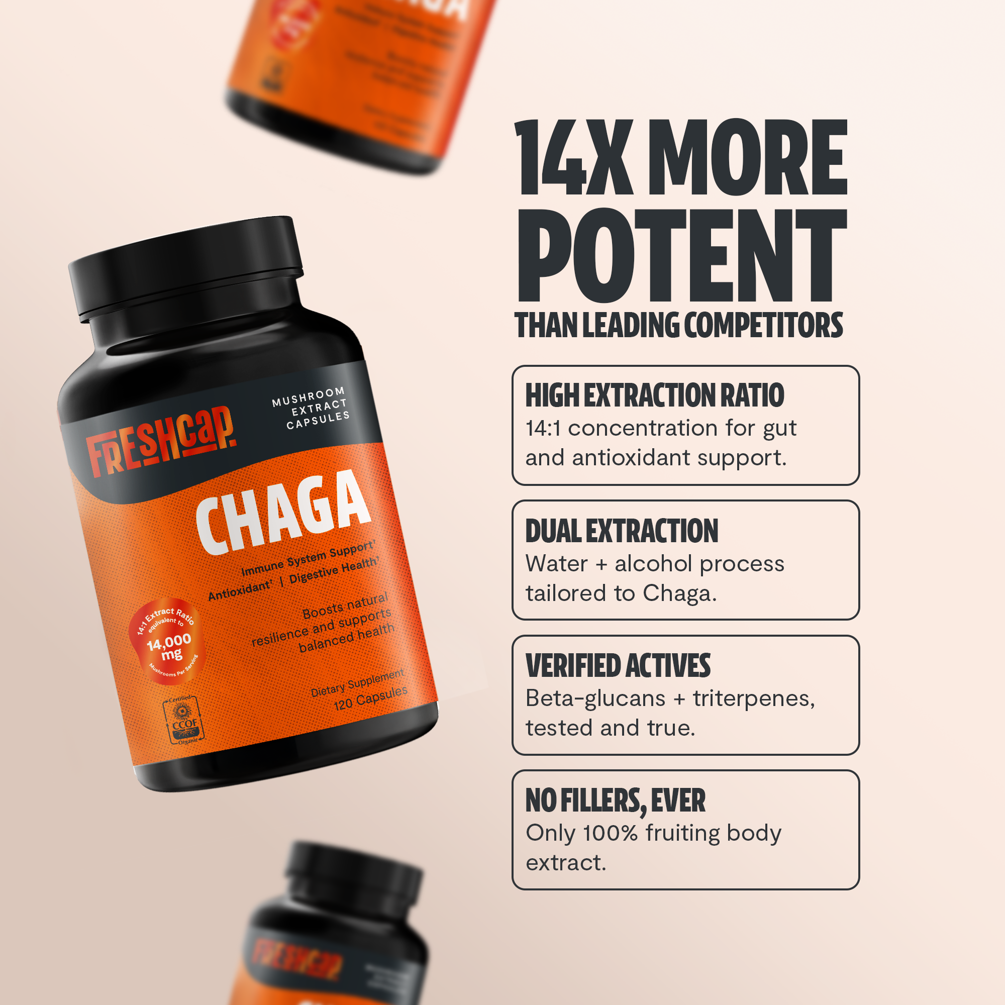 Chaga Mushroom Extract Capsules