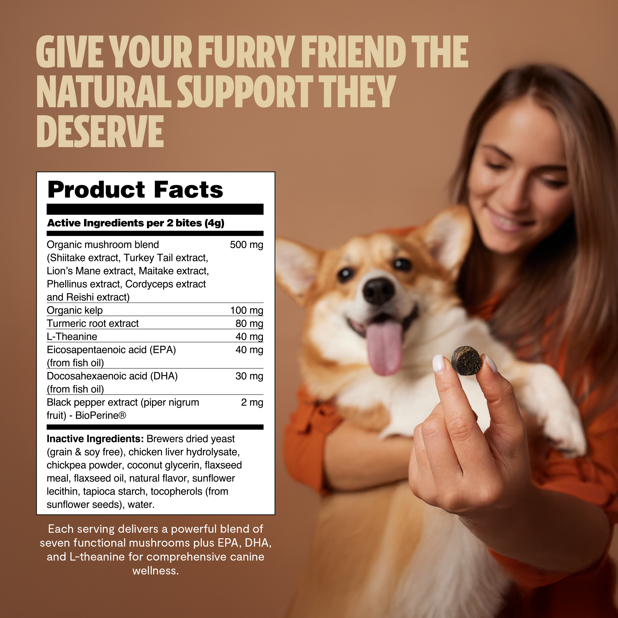 Organic Mushroom Complex for Dogs DestGlow