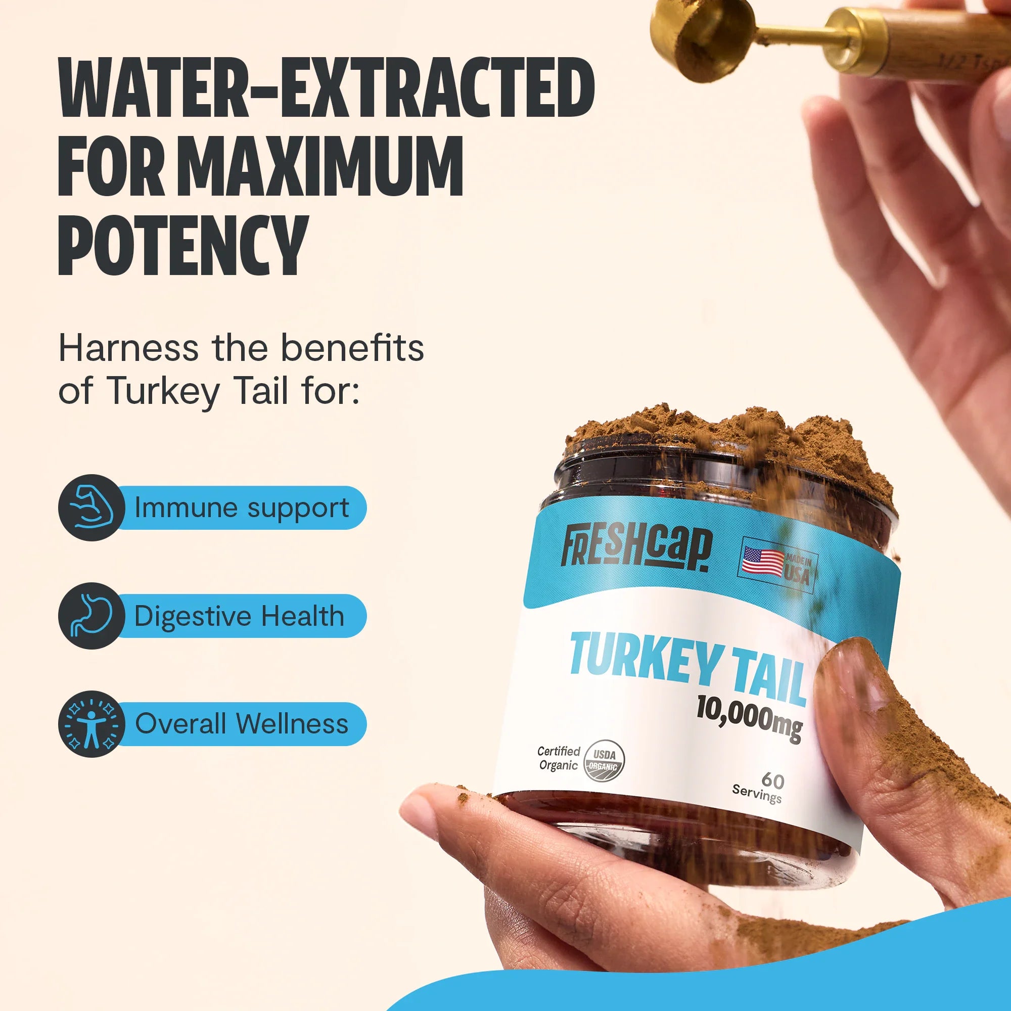 Turkey Tail Mushroom Extract Powder by FreshCap Mushrooms