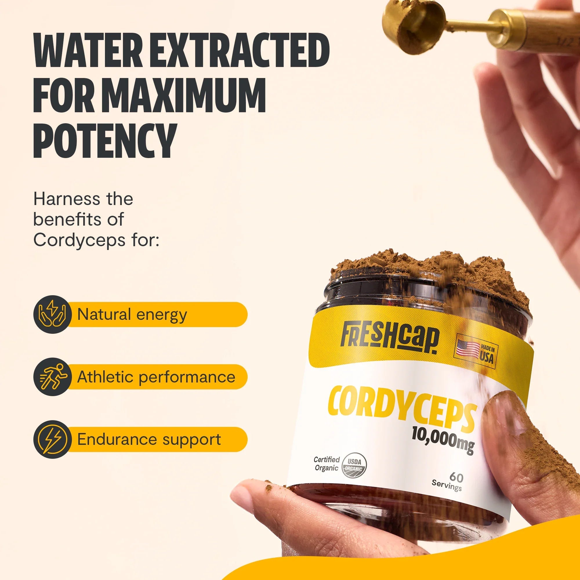Cordyceps Mushroom Extract Powder DestGlow