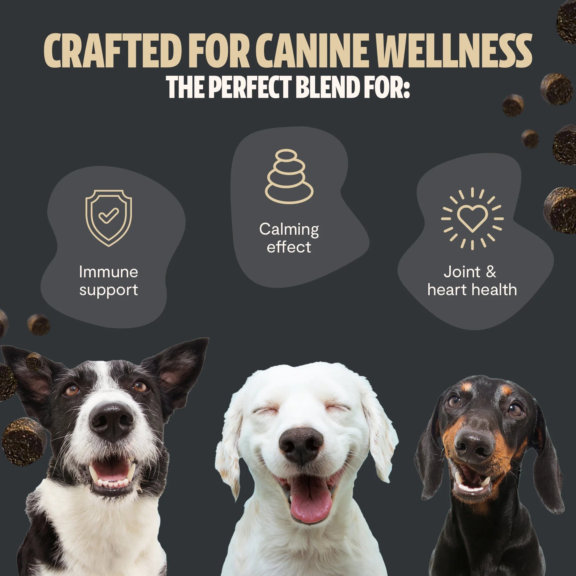 Organic Mushroom Complex for Dogs DestGlow
