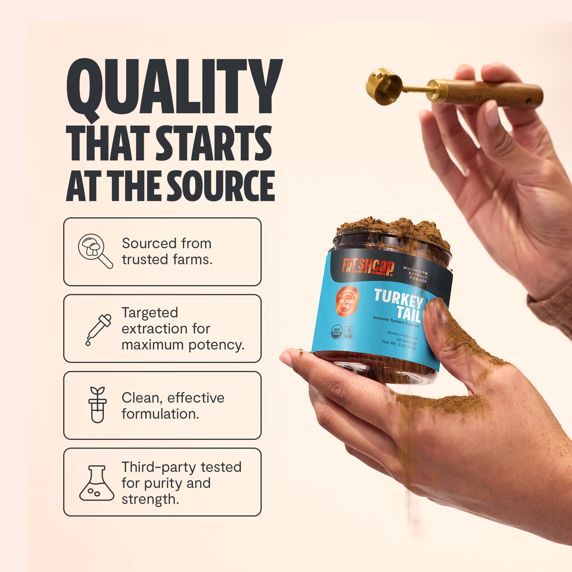 Turkey Tail Mushroom Extract Powder by FreshCap Mushrooms
