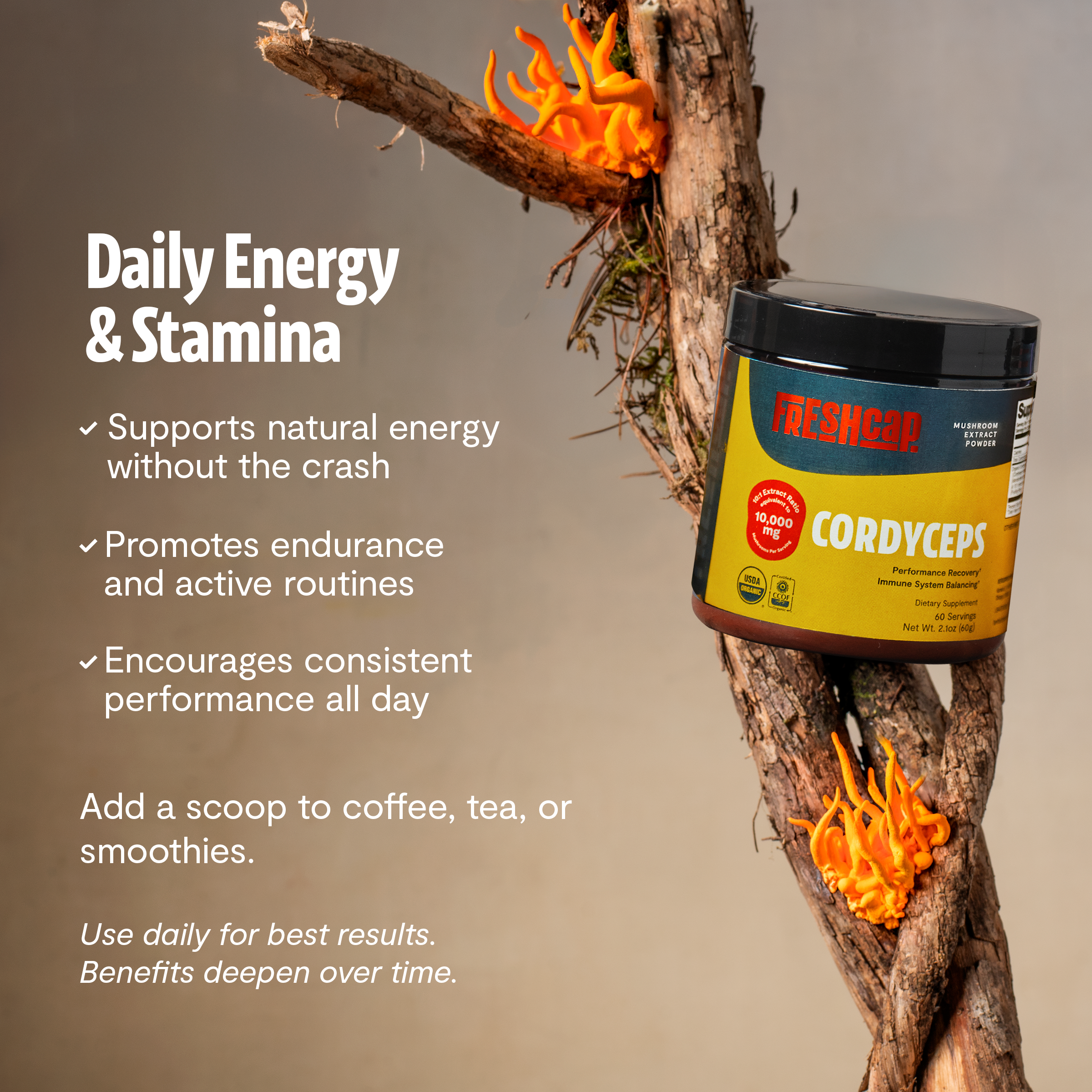 Cordyceps Mushroom Extract Powder DestGlow