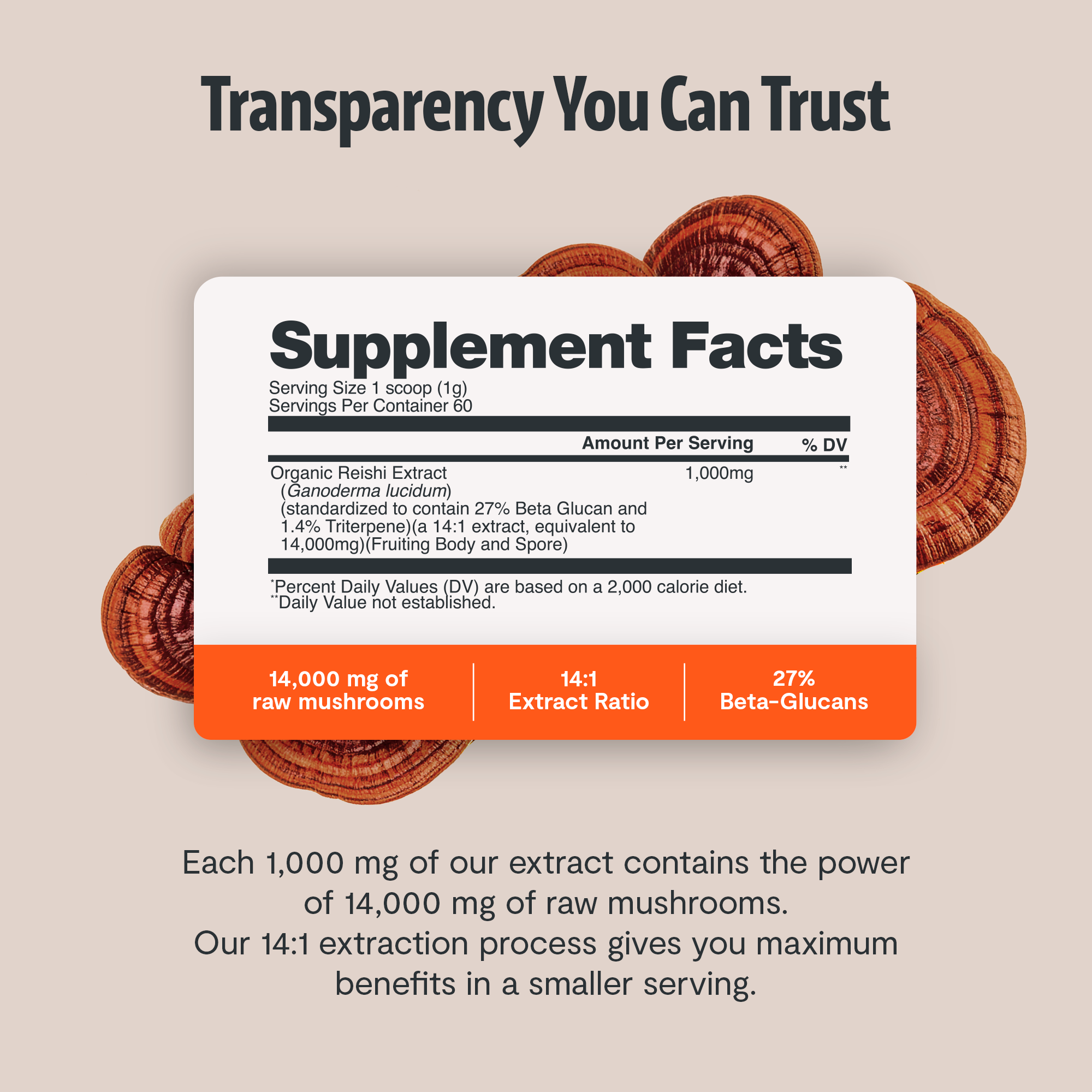 Reishi Mushroom Extract Powder by FreshCap Mushrooms