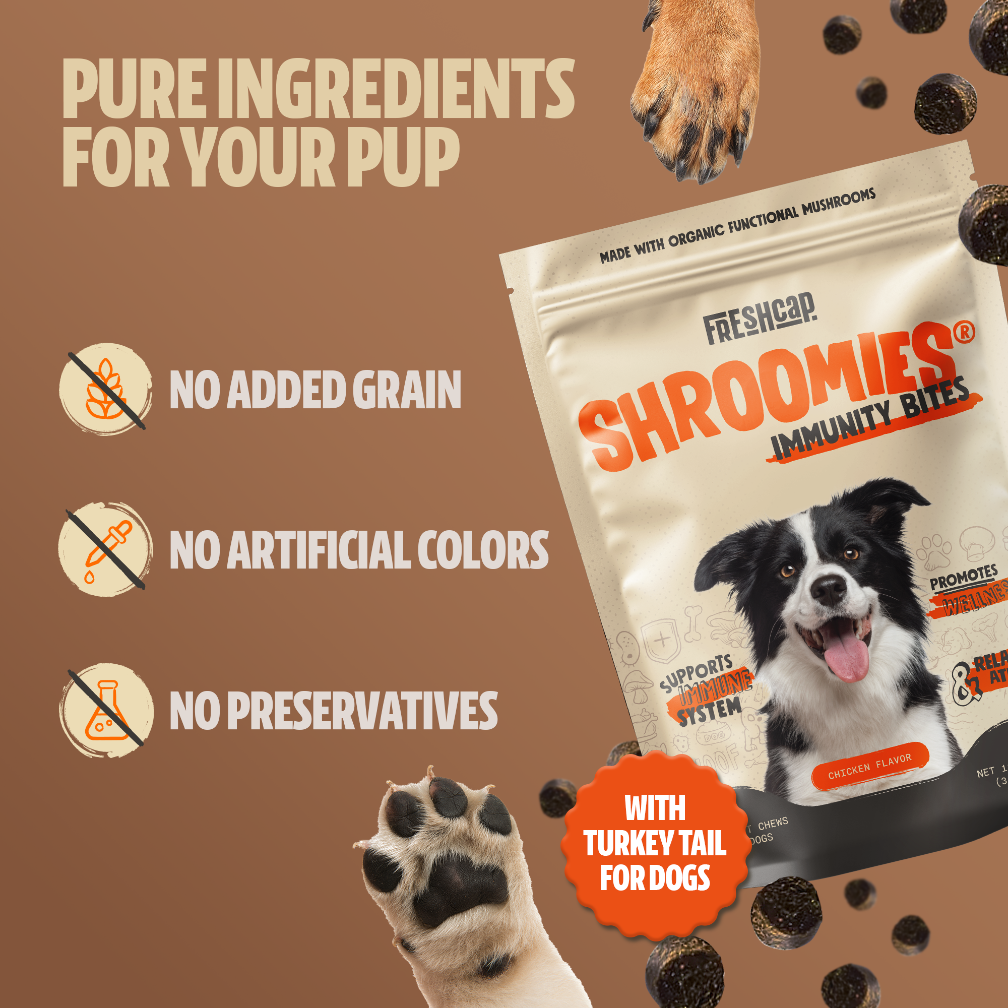 Organic Mushroom Complex for Dogs DestGlow
