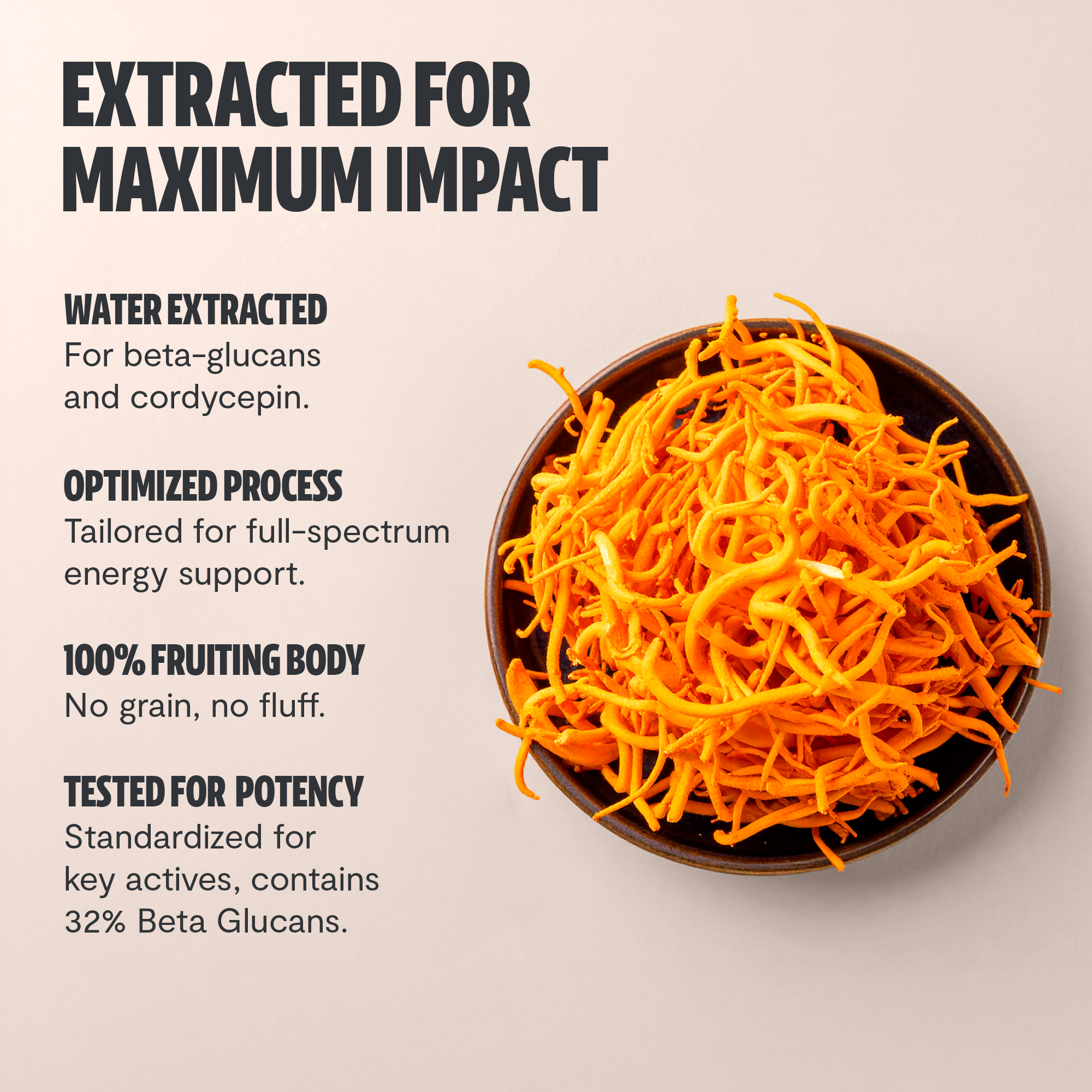 Cordyceps Mushroom Extract Powder DestGlow
