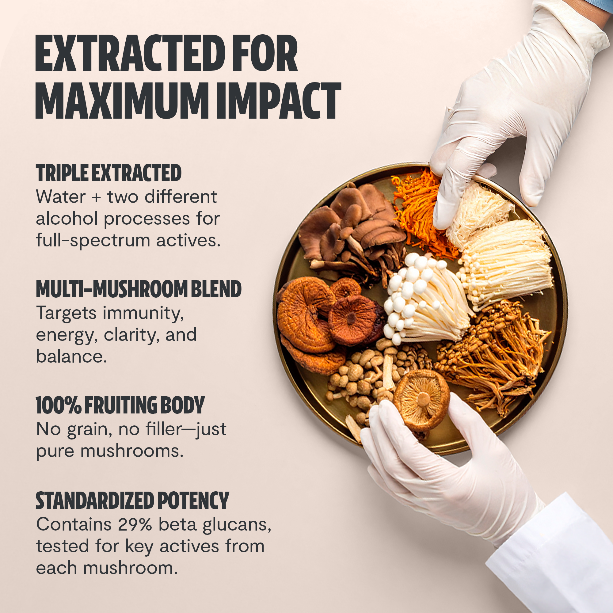 Organic Mushroom Extract Powder Blend by FreshCap Mushrooms