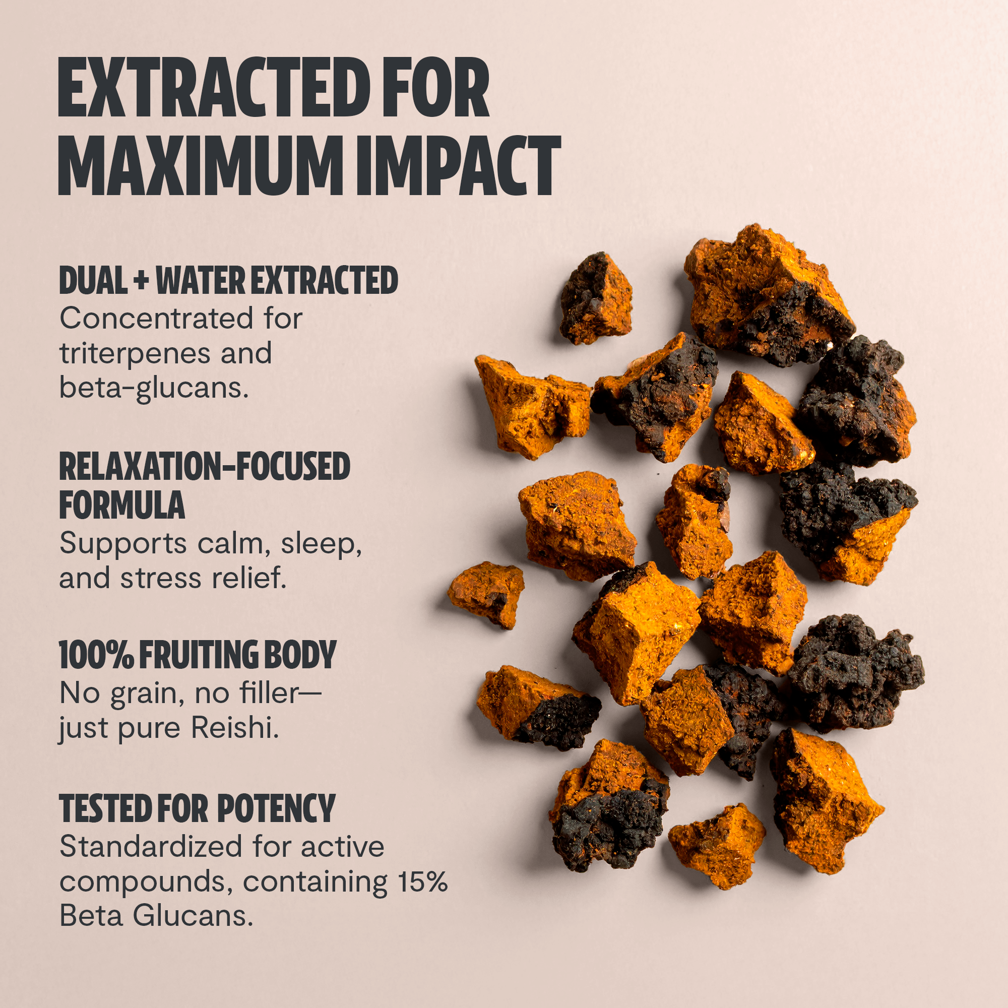 Chaga Mushroom Extract Capsules