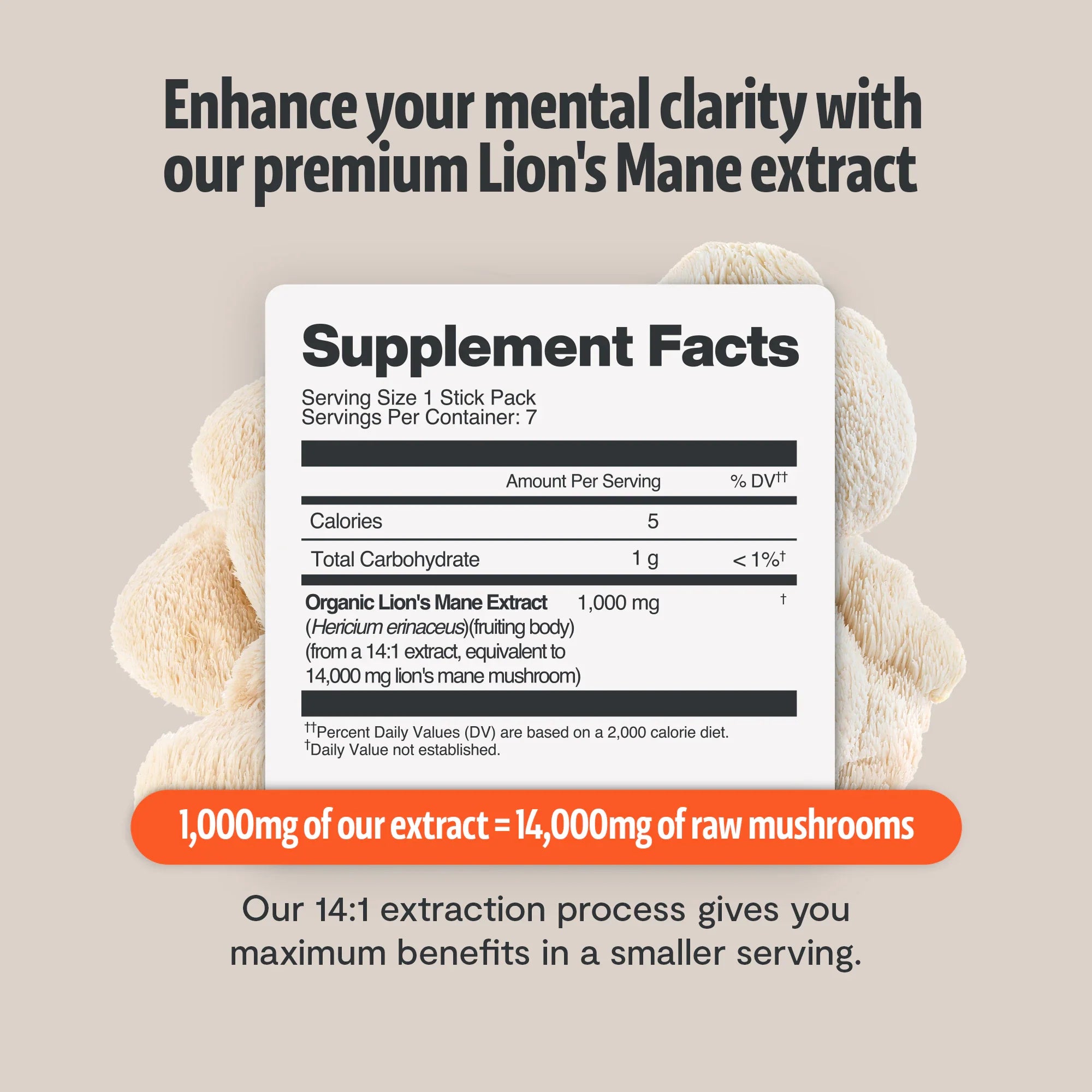 Organic Lion’s Mane Mushroom Powder by FreshCap Mushrooms