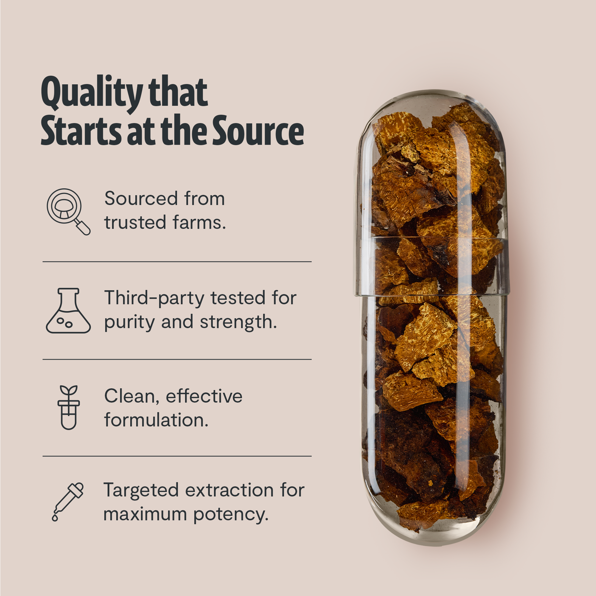 Chaga Mushroom Extract Capsules DestGlow