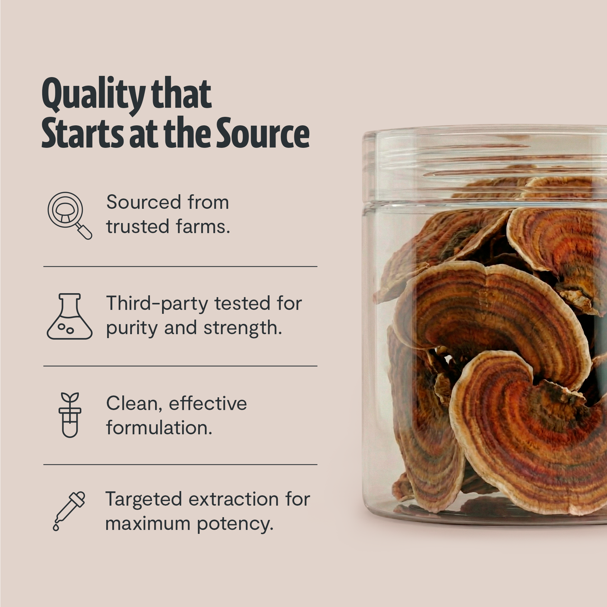 Organic Turkey Tail Mushroom Powder by FreshCap Mushrooms