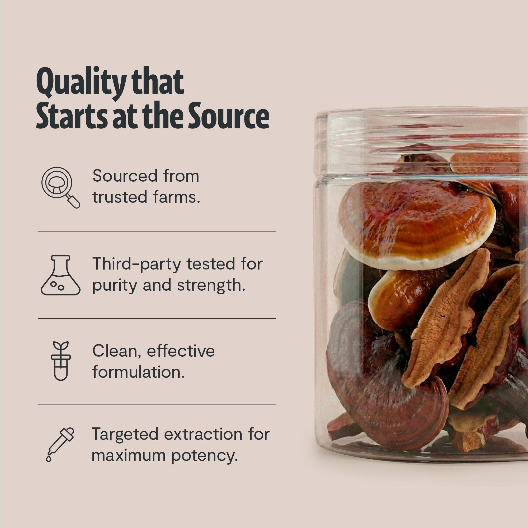 Reishi Mushroom Extract Powder by FreshCap Mushrooms
