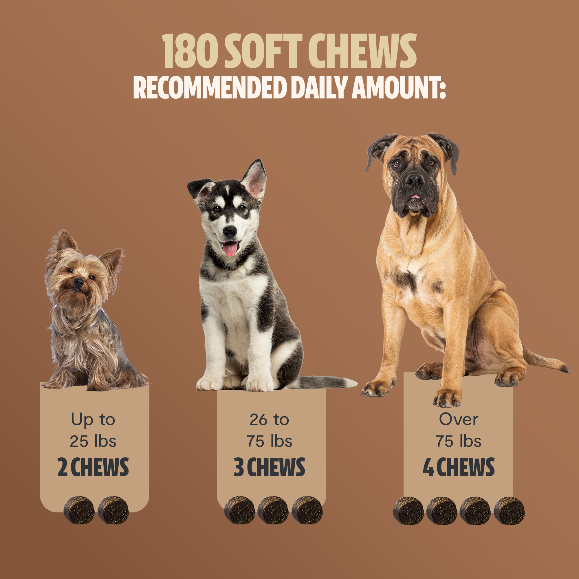 Organic Mushroom Complex for Dogs DestGlow