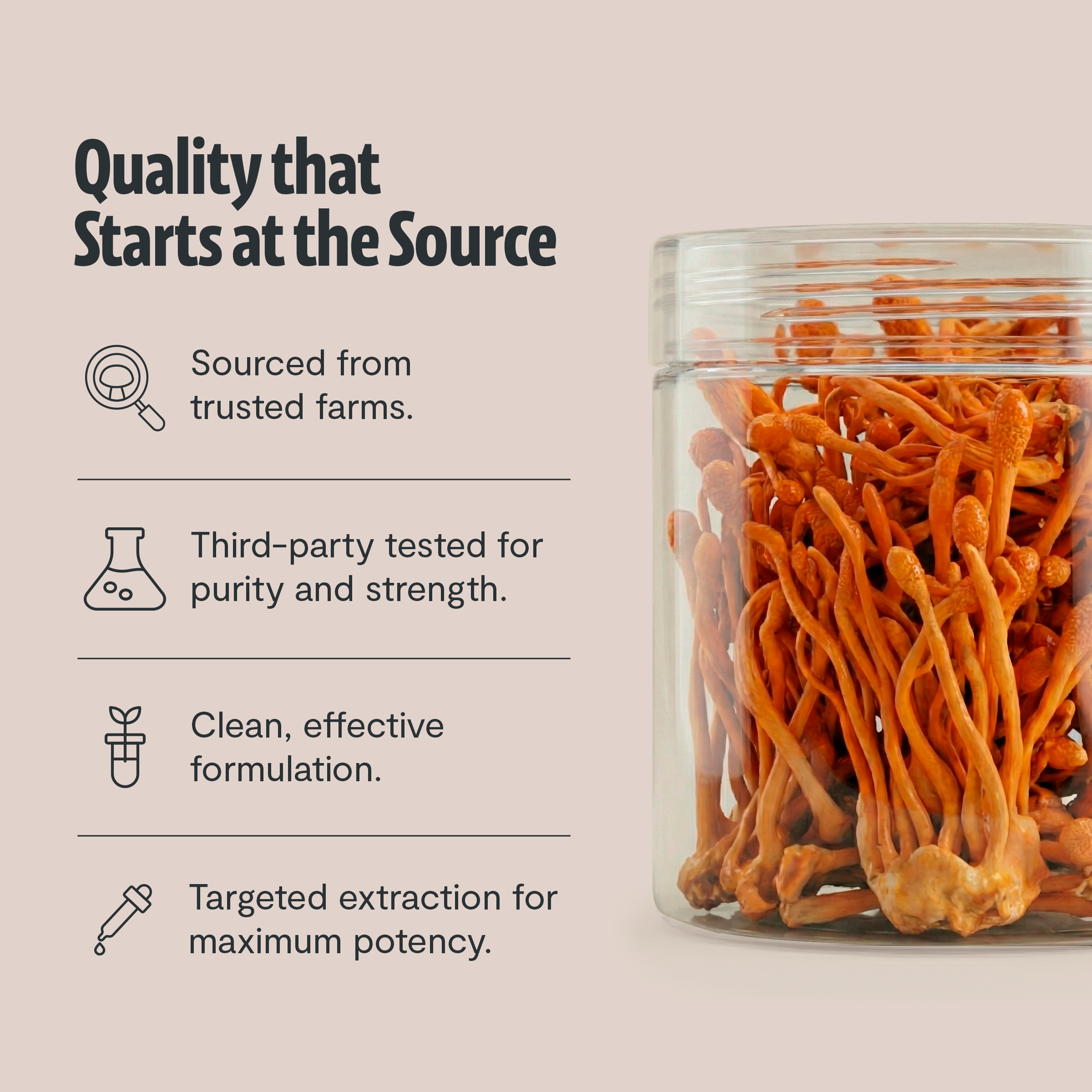 Cordyceps Mushroom Extract Powder DestGlow