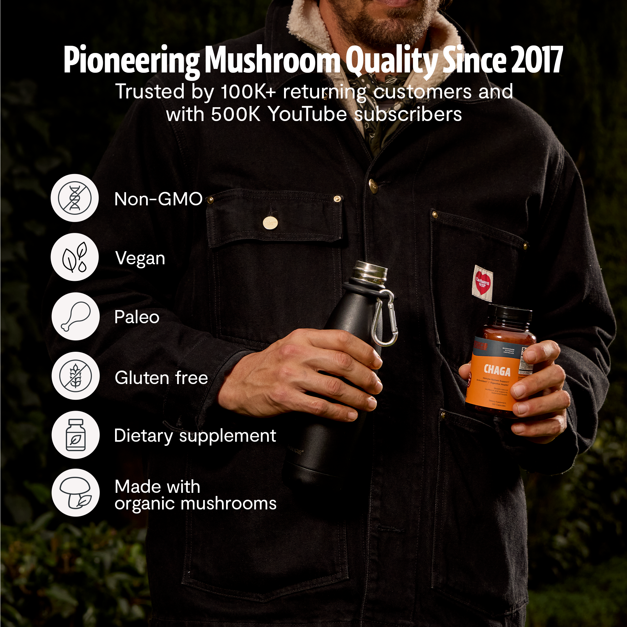 Chaga Mushroom Extract Capsules DestGlow
