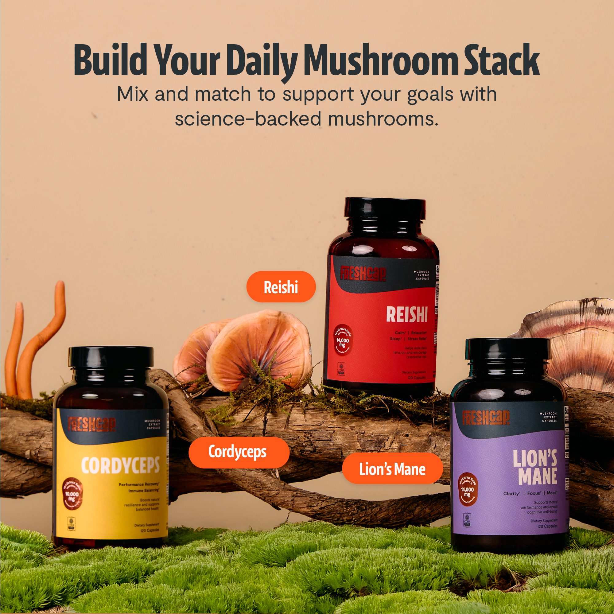Reishi Mushroom Extract Capsules by FreshCap Mushrooms