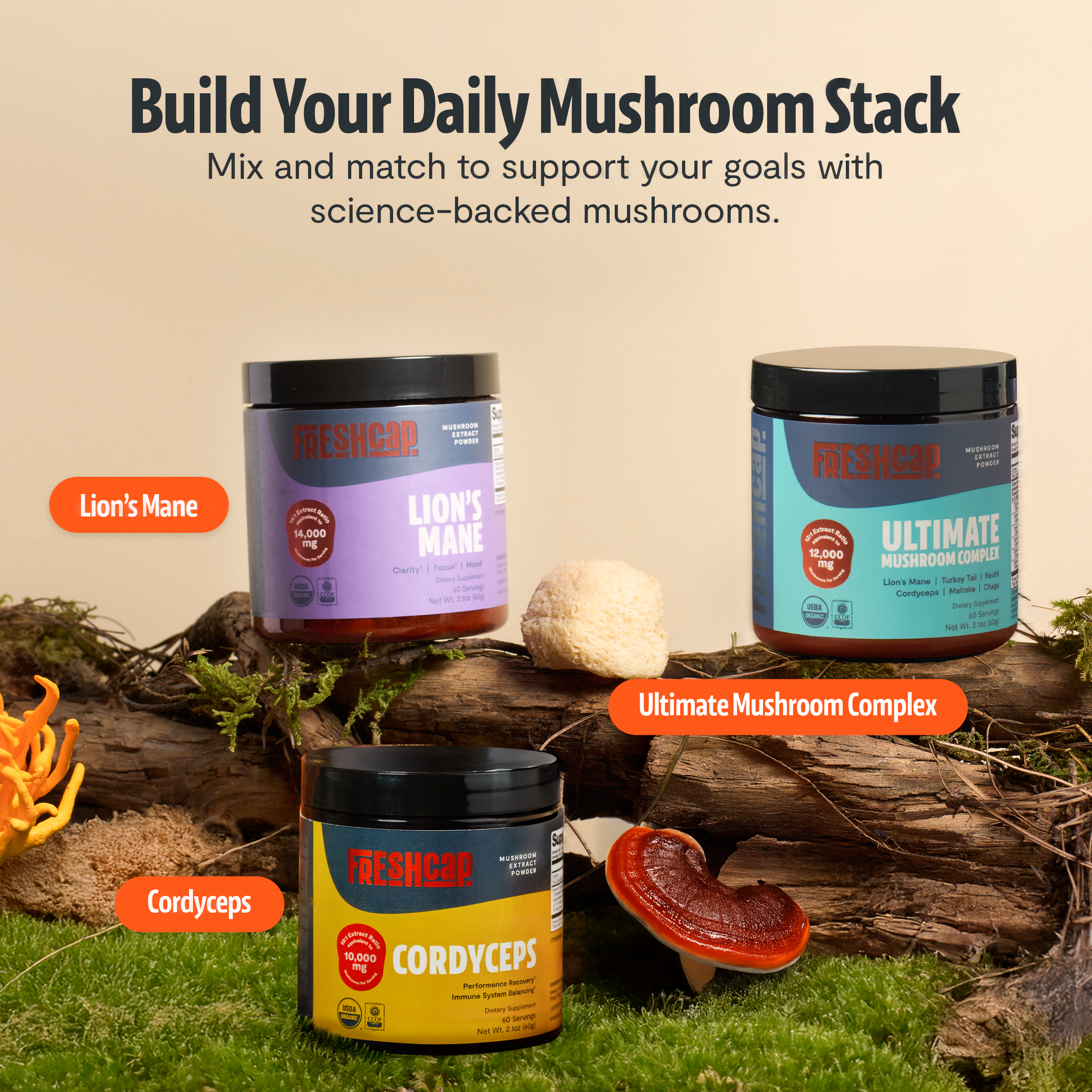 Cordyceps Mushroom Extract Powder DestGlow