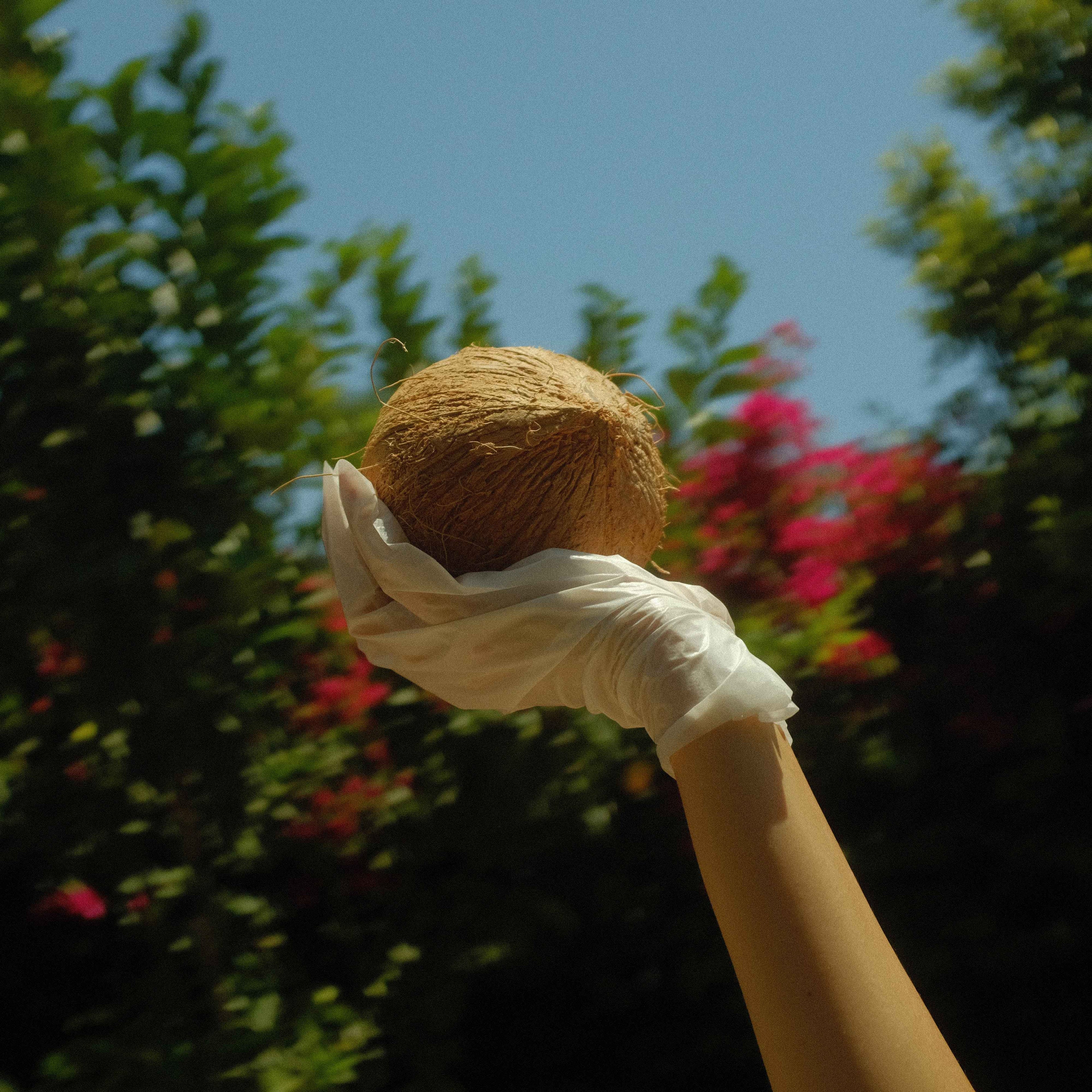 Lapcos Coconut Milk Hand Mask