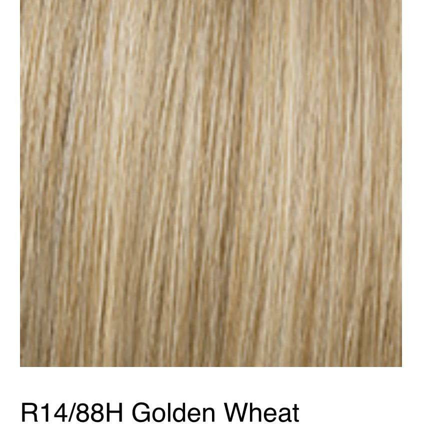 Hairdo 23" Grand Extension