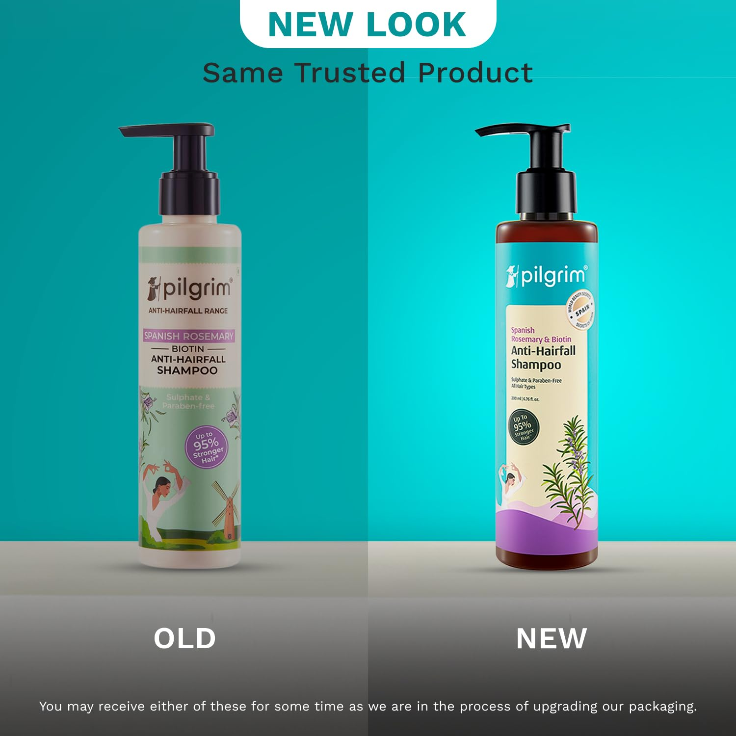 Pilgrim Spanish Rosemary & Biotin Anti Hairfall Shampoo For Reducing Hair Loss & Breakage