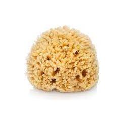 The Sponge Company Sea Silk Bathing Sponge