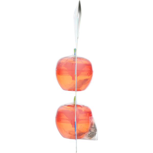 Raid Fruit Fly Trap
