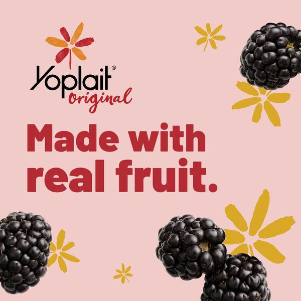 Yoplait Original Low Fat Blackberry Harvest Yogurt Cup