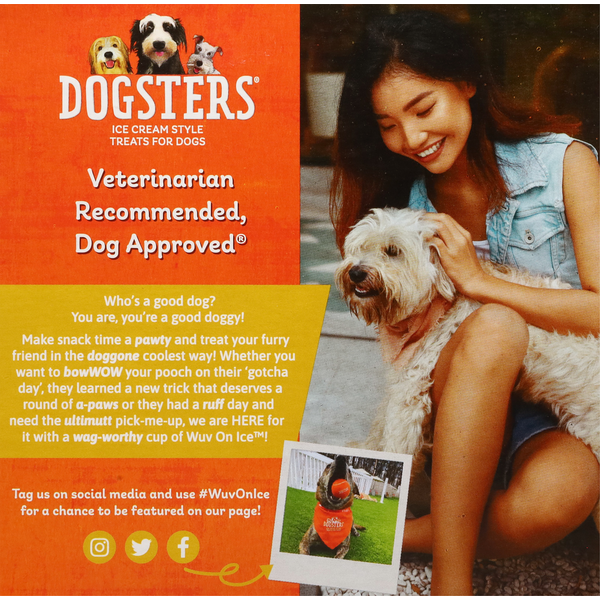 Dogsters Treats for Dogs, Paw-Some Pumpkin Flavor, Ice Cream Style