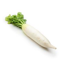 Daikon Radish️