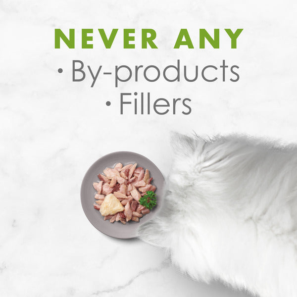 Purina Fancy Feast Grain Free Wet Cat Food Complement, Appetizers Skipjack Tuna With a Sole Topper