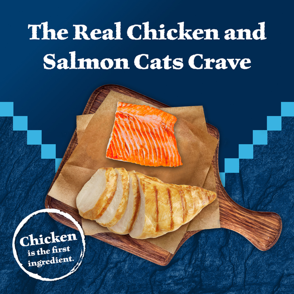 Blue Buffalo Wilderness Delights Meaty Wet Cat Food, Chicken & Salmon in Gravy