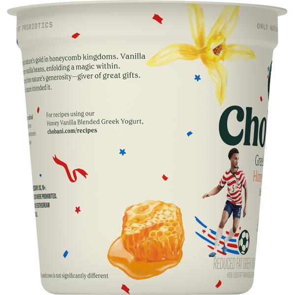 Chobani Reduced Fat Blended Honey Vanilla Greek Yogurt