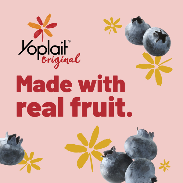 Yoplait Original Low Fat Mountain Blueberry Yogurt Cup