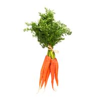 Carrot Bunch️