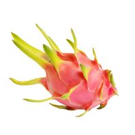 Dragonfruit (Pitaya)️