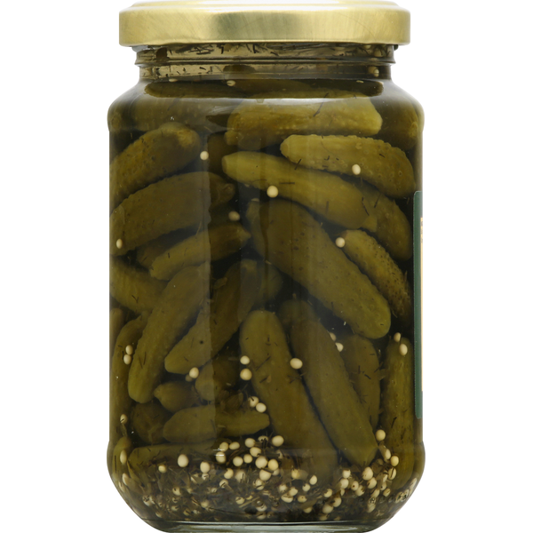 Napoleon Co. Cornichons, Baby Gherkin