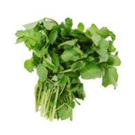 Watercress️ DestGlow