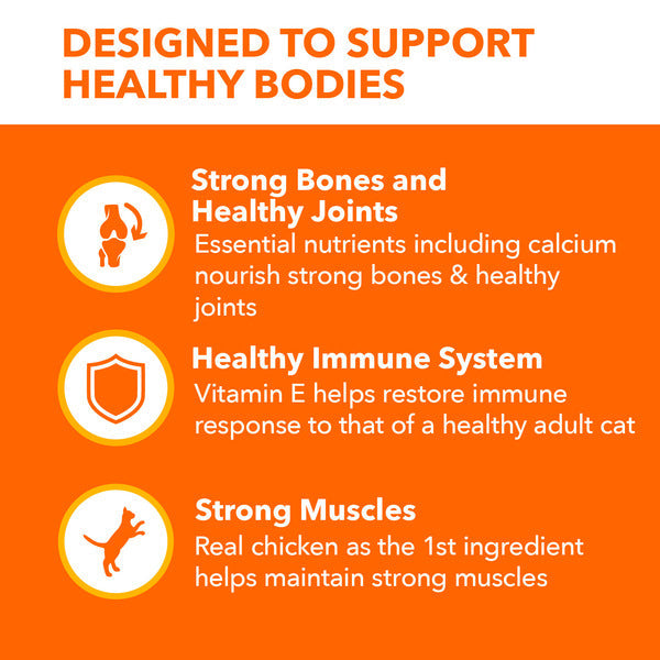 IAMS PROACTIVE HEALTH Healthy Senior Dry Cat Food with Chicken Cat Kibble, 3.5 lb. Bag DestGlow
