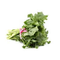 Rapini (Rabe)️ DestGlow