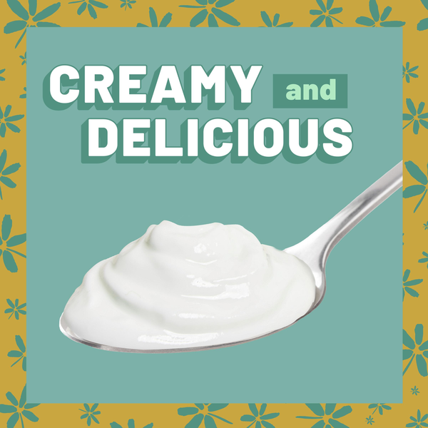 Yoplait Protein Vanilla Yogurt Cultured Dairy Snack Cup