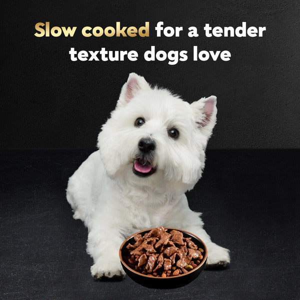 Cesar Filets in Gravy Wet Dog Food Variety Pack