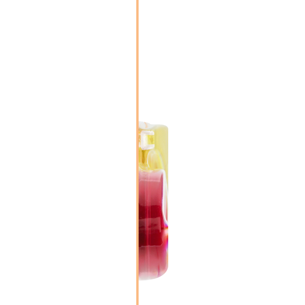 BIC Correction Tape