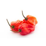 Habanero Pepper️