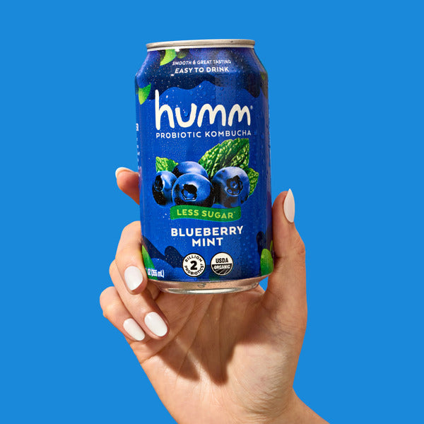 Humm Kombucha Blueberry Mint Zero Sugar Probiotic Kombucha