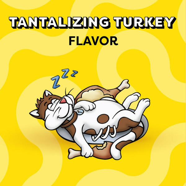 TEMPTATIONS Classic Crunchy and Soft Cat Treats Turkey Flavor